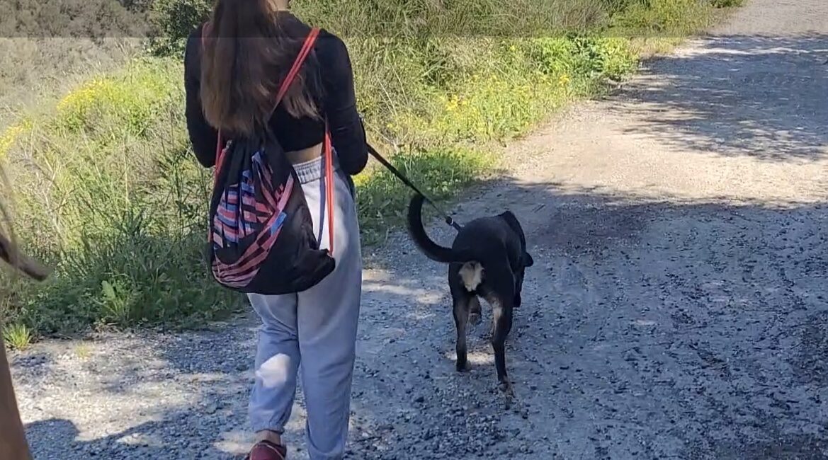Σκυλοβόλτα με τους Εθελοντές του Κυνοκομείου Ηρακλείου