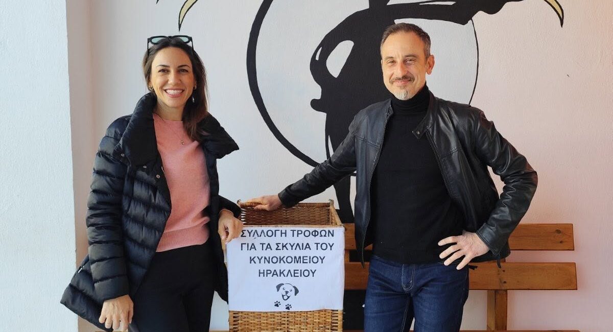 Συλλογή τροφών και παιχνιδιών για τα αδέσποτα ζώα